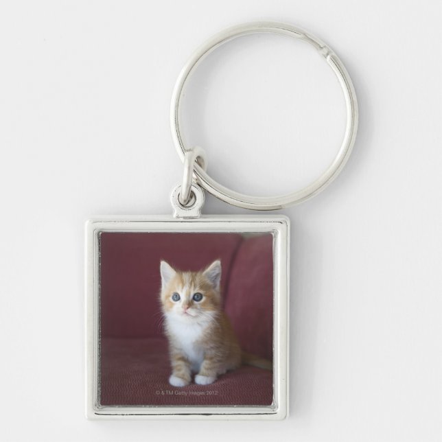 Cat on sofa keychain (Front)