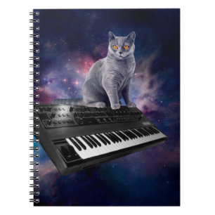 Cat on synthesizer in space notebook