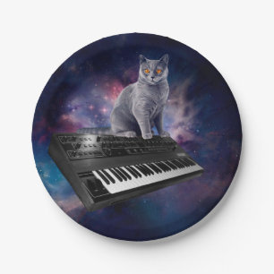 Cat on synthesizer in space paper plates