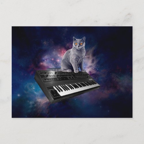 Cat on synthesizer in space postcard