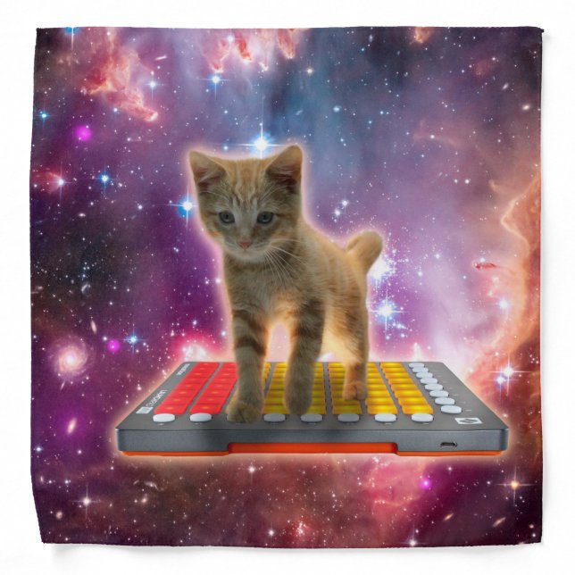Cat on synthesizers in space bandana (Front)
