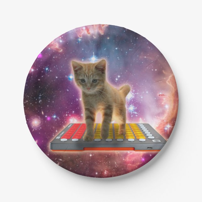 Cat on synthesizers in space paper plates (Front)