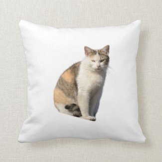 Cat on  throw pillow