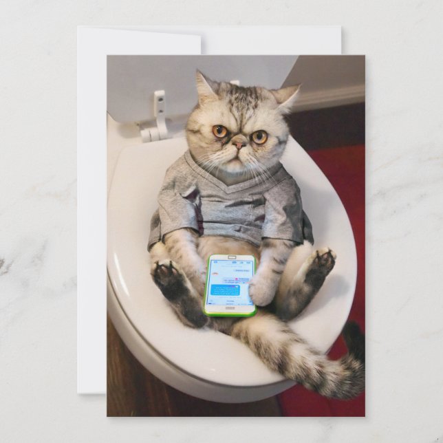Cat on Toilet Invitation (Front)
