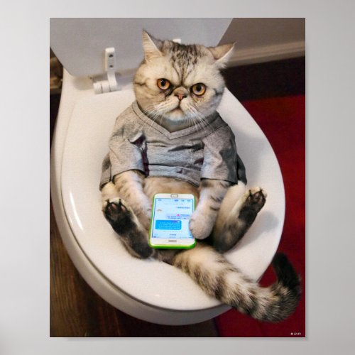 Cat on Toilet Poster