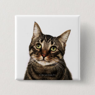 Cat on white background 2 button