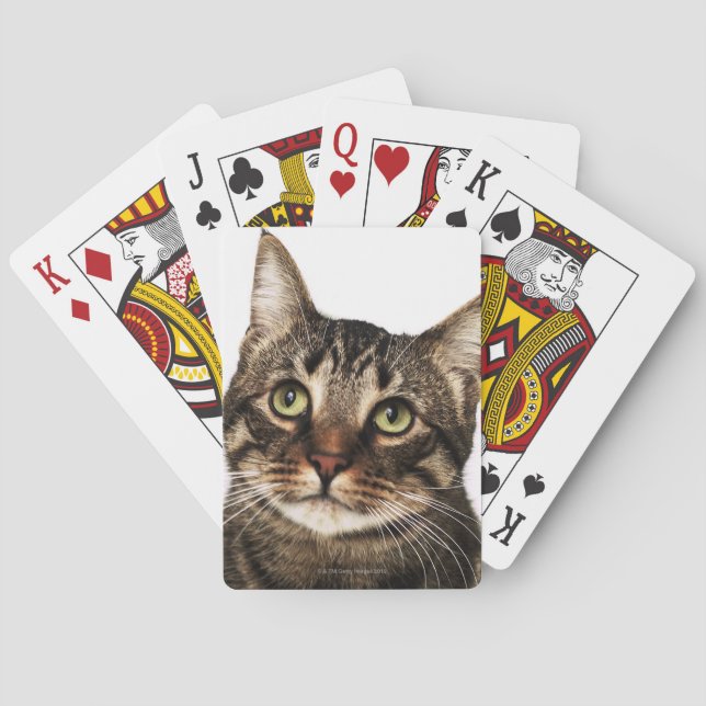 Cat on white background 2 poker cards (Back)