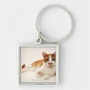 Cat on white background keychain