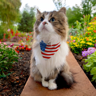  CAT OR DOG BANDANA PATRIOTIC AMERICAN FLAG PET BANDANA COLLAR