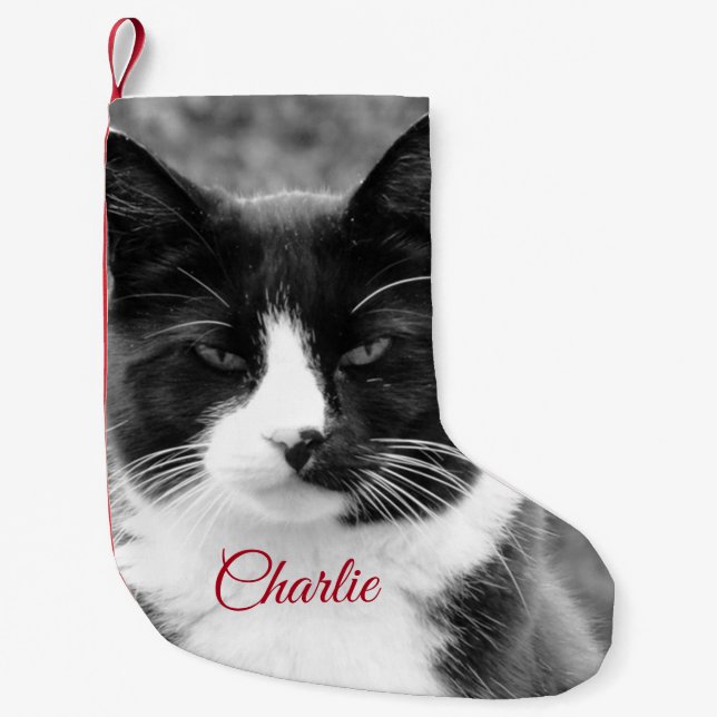Cat or Dog Personalized Holidays Small Christmas Stocking (Front)