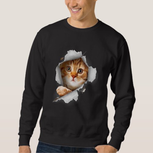 Cat Orange Cat Cat Torn Cloth Kitten Sweatshirt