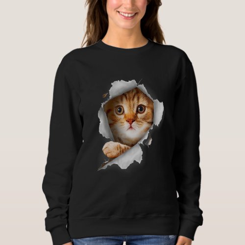 Cat Orange Cat Cat Torn Cloth Kitten Sweatshirt