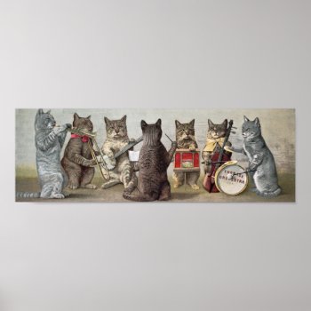 Cat Orchestra Poster by catppl at Zazzle