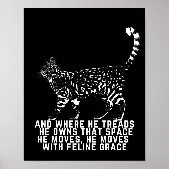 Cat outline with feline grace poem black  poster (Front)