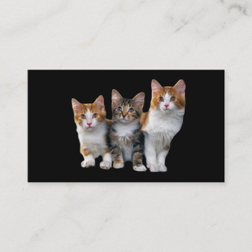 Customizable Cat Outside The Box Business Card