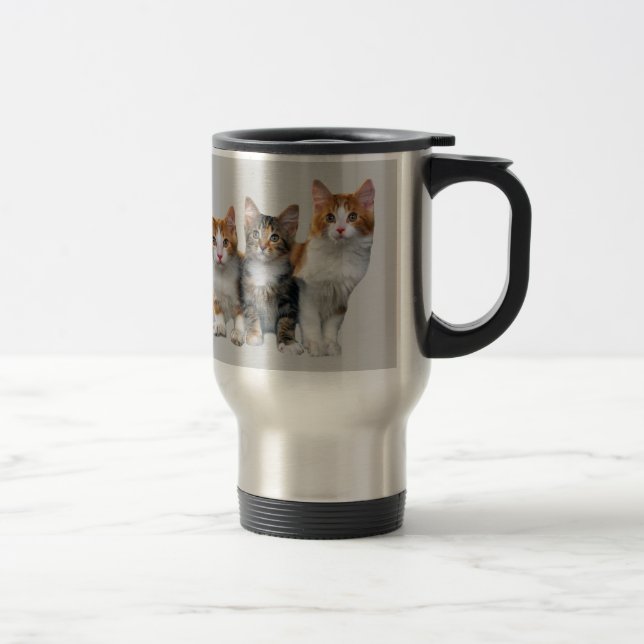 Cat Outside The Box Mug (Right)