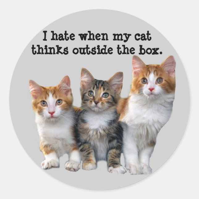Cat Outside The Box Sticker (Front)