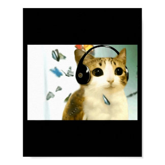 Cat Owl Funny Cursed Internet Trendy Meme Funny Me Poster