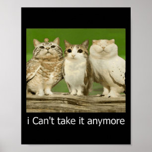 Cat Owl Funny Meow I Can't Take It Anymore  Poster