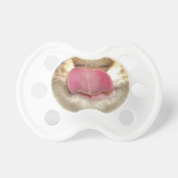 Cat Pacifiers Zazzle