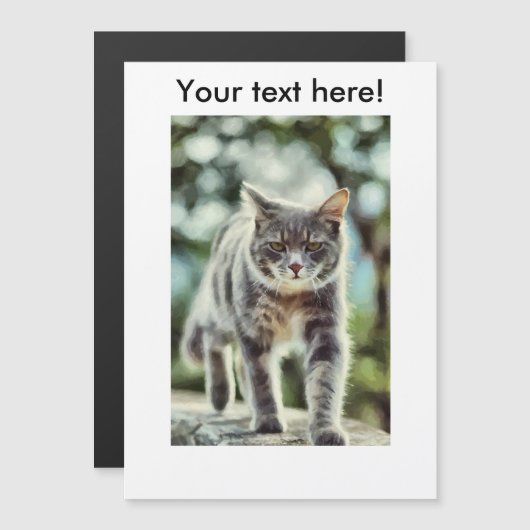 Cat painting (Front/Back)