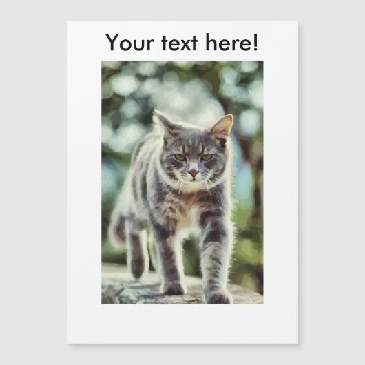 Cat painting (Front)