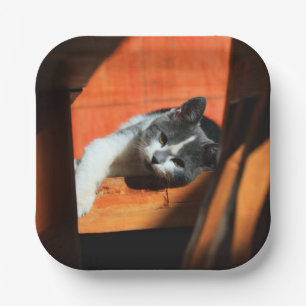 Cat Paper Plates