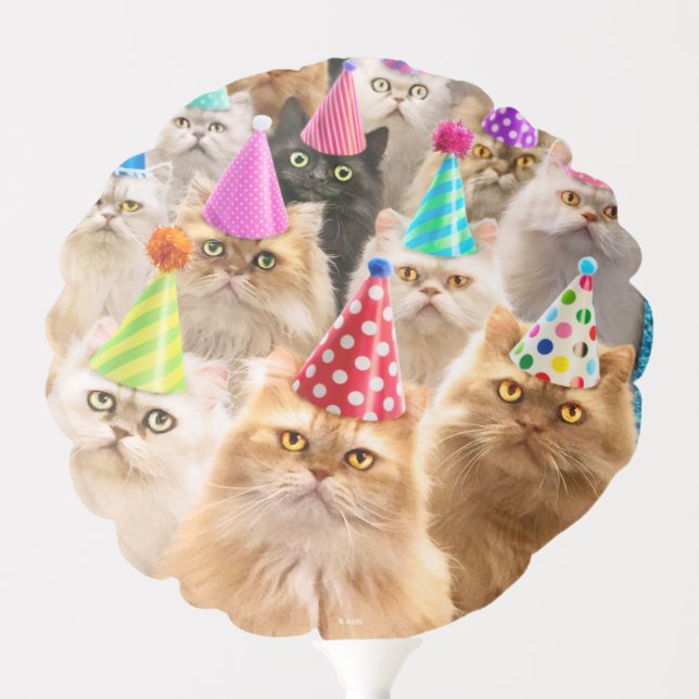 Cat Party Balloon (Front)