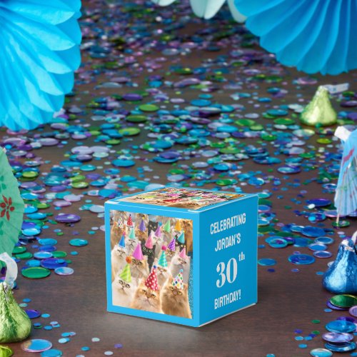 Cat Party Favor Boxes