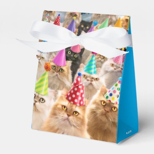 Cat Party Favor Boxes