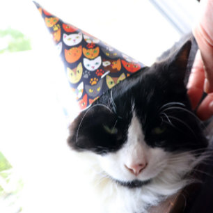 Cat Party Hat