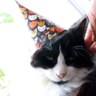 Cat Party Hat