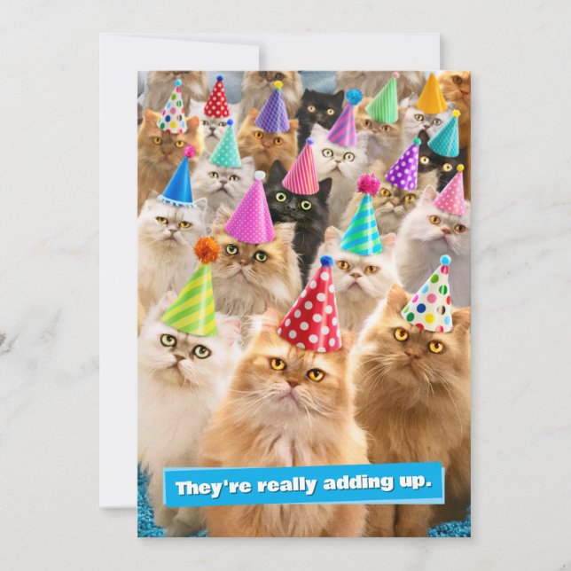 Cat Party Invitation (Front)