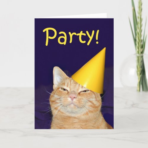 Cat party invitation