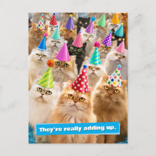 Cat Party Invitation Postcard
