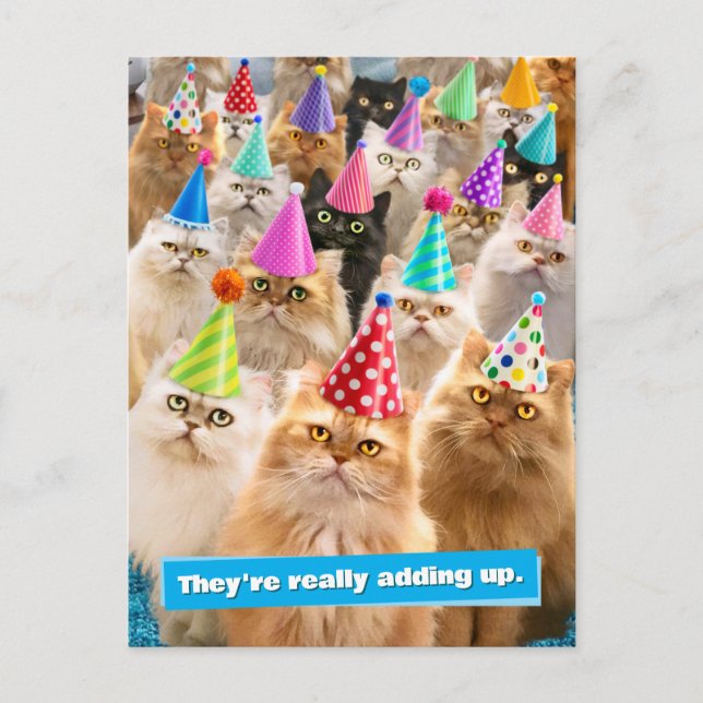 Cat Party Invitation Postcard (Front)