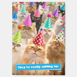 Cat Party Magnet