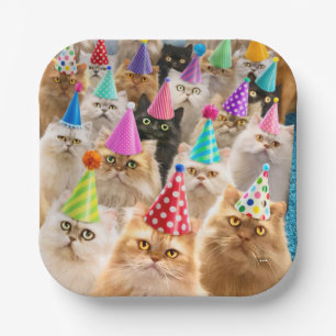 Cat Party Paper Plates