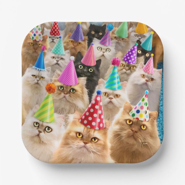 Cat Party Paper Plates (Front)