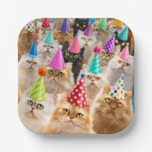 Cat Party Paper Plates
