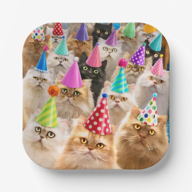 Cat Party Paper Plates (Front)