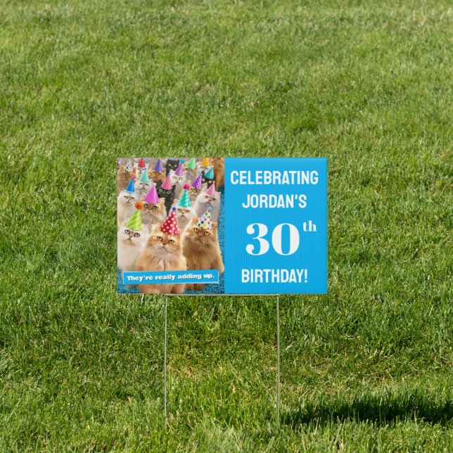 Cat Party Sign (Insitu)