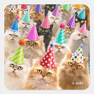 Cat Party Square Sticker
