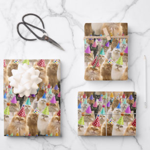 Cat Party Wrapping Paper Sheets