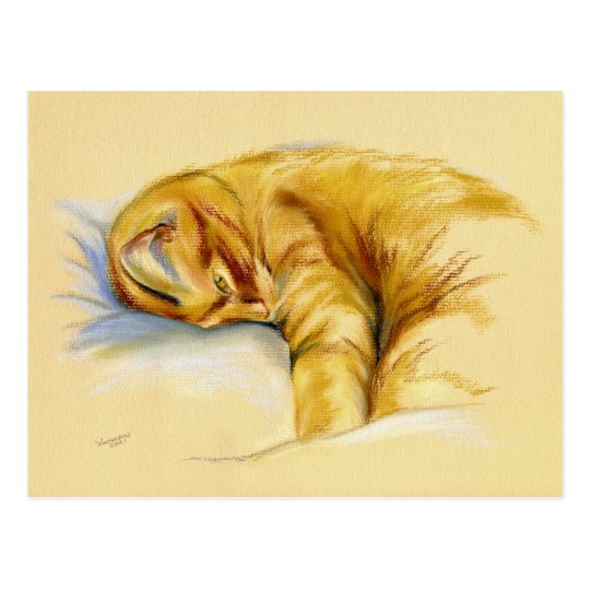  Cat Pastel Orange Tabby Relaxed Pose Postcard Zazzle com