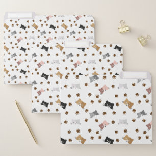 Cat Pattern, Kitty Faces & Paw Prints File Folder
