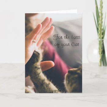 Cat Paw Giving High-five Card by Paws_At_Peace at Zazzle