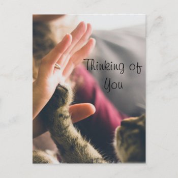 Cat Paw Giving High-five Postcard by Paws_At_Peace at Zazzle