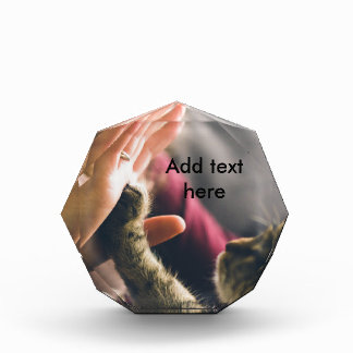 Cat Paw High-five Award