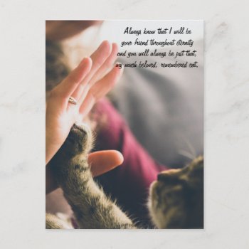 Cat Paw High-five Postcard by Paws_At_Peace at Zazzle